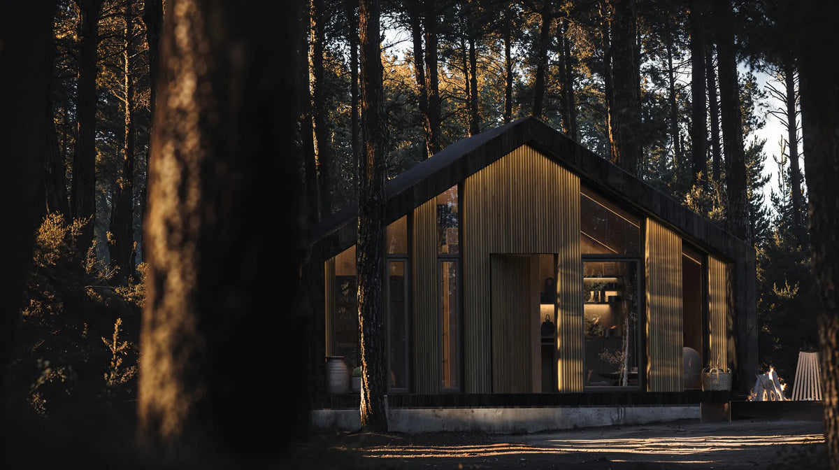 Visualisation of the Zenith among trees